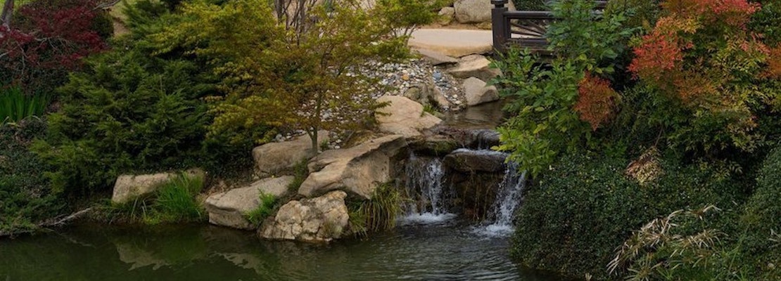 The 5 best parks in Fresno