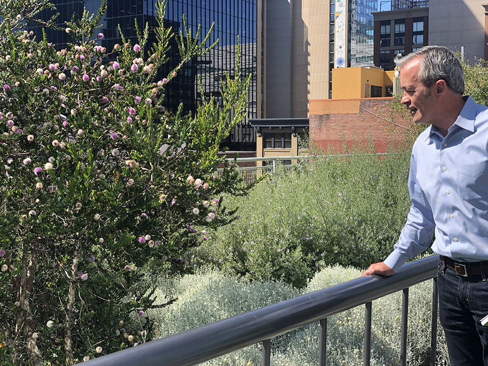 salesforce park open