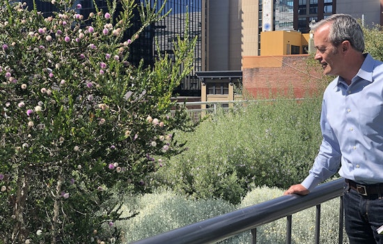 Walking Salesforce Park: An SF tree expert's guide to the landscape