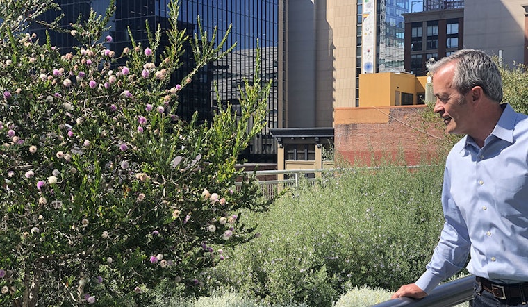 Walking Salesforce Park: An SF tree expert's guide to the landscape