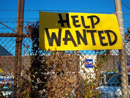 Wanted: Rails Developer, UI Designer