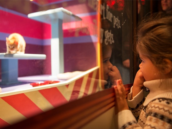 30 Ways To Enjoy The Pre-Thanksgiving Weekend