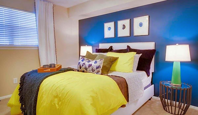 Renting in Raleigh: What's the cheapest apartment available right now?