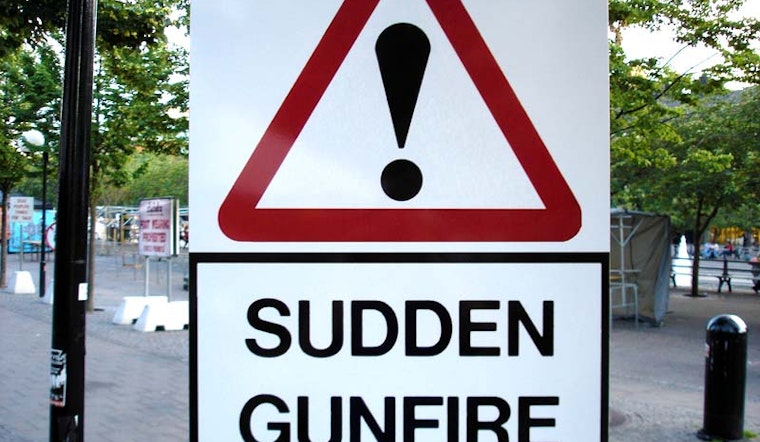 About Those Gunshots Last Weekend...