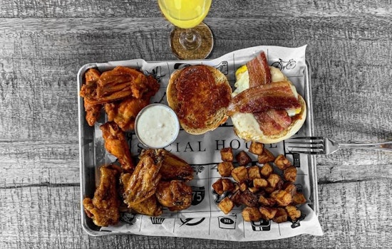 Here are the 3 newest businesses to debut in Tampa