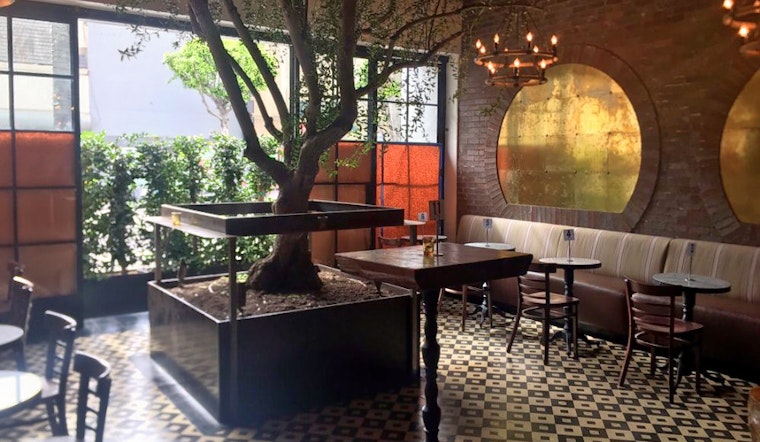 Hollywood Gets A New Cocktail Bar: 'Paloma'