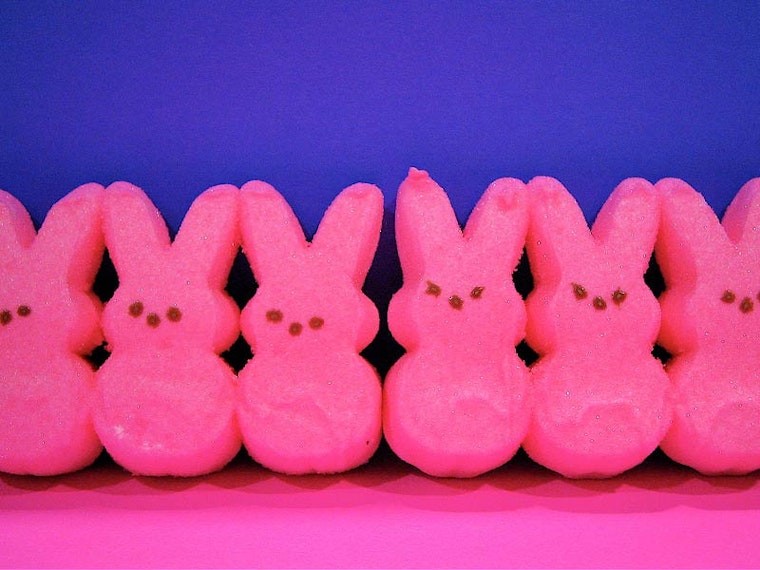 Duboce Park Easter Egg Hunt Next Weekend