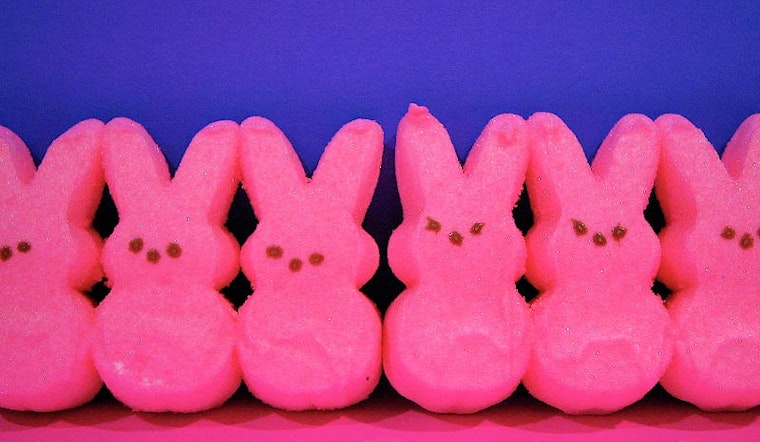 Duboce Park Easter Egg Hunt Next Weekend