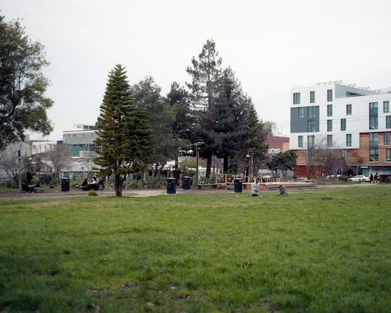 Top Berkeley news: Mountain lion sighting; sex-assault suspect arrested near People's Park; more