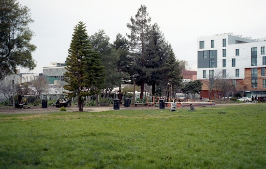 Top Berkeley news: Mountain lion sighting; sex-assault suspect arrested near People's Park; more