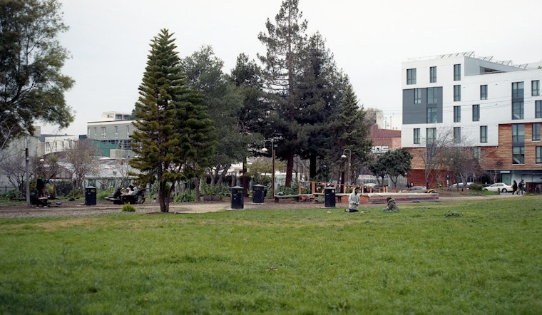 Top Berkeley news: Mountain lion sighting; sex-assault suspect arrested near People's Park; more