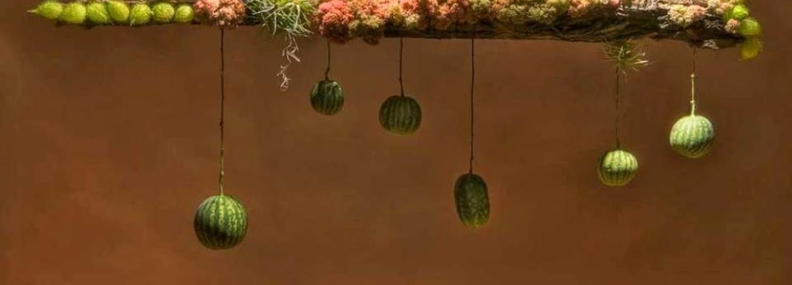 Castro Florist 'IXIA' Finds A New Owner
