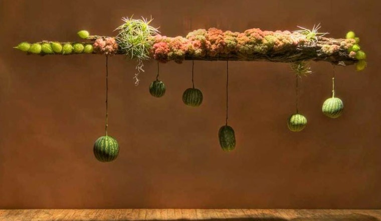 Castro Florist 'IXIA' Finds A New Owner