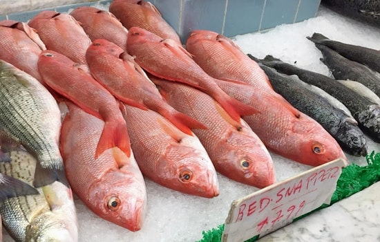 Newark's top 3 seafood markets to visit now