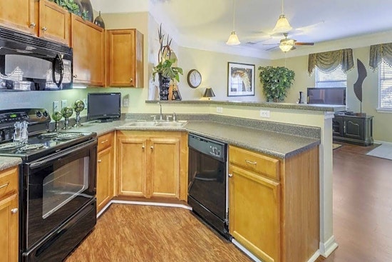 Apartments for rent in Houston: What will $1,500 get you?