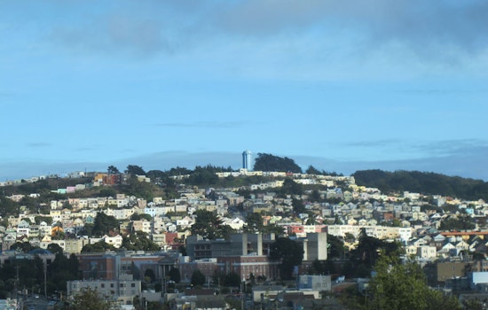 Excelsior-Outer Mission Crime: Late-Night Grocery Thieves, Woman Escapes Robber, More