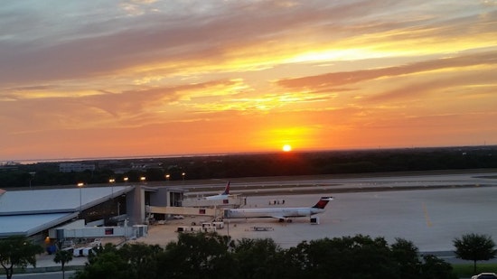 Top Tampa news: Softball team heads to World Series; airport to add 900 cellphone spots; more