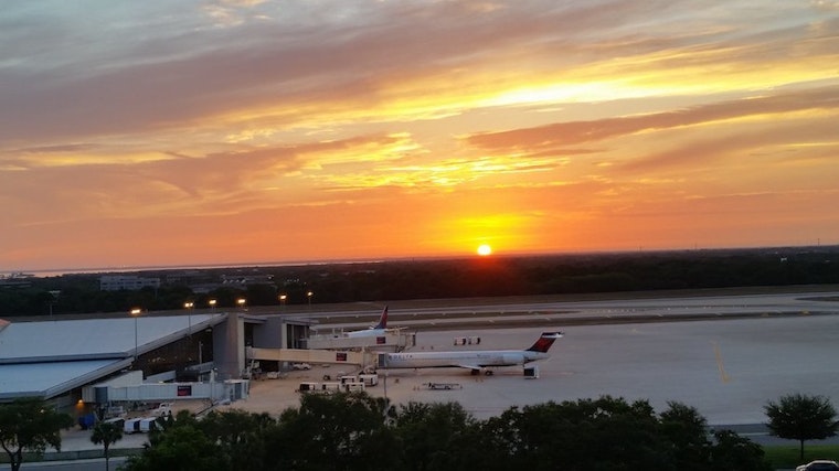 Top Tampa news: Softball team heads to World Series; airport to add 900 cellphone spots; more