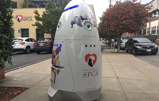 SPCA Hires Security Robot To Patrol Mission Campus