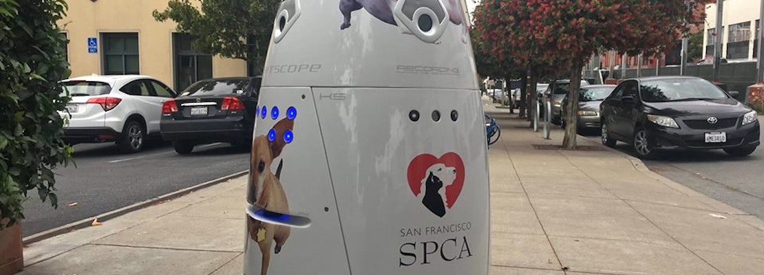SPCA Hires Security Robot To Patrol Mission Campus