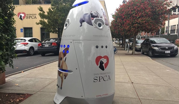 SPCA Hires Security Robot To Patrol Mission Campus