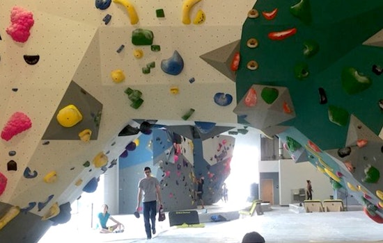 City's Largest Indoor Climbing Gym Debuts In Washington Ave. Arts District