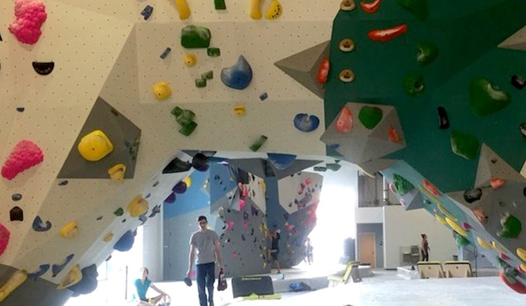 City's Largest Indoor Climbing Gym Debuts In Washington Ave. Arts District