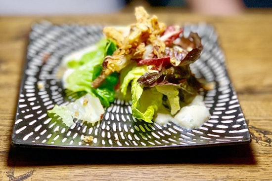 Explore the 5 most popular businesses in Denver's City Park neighborhood
