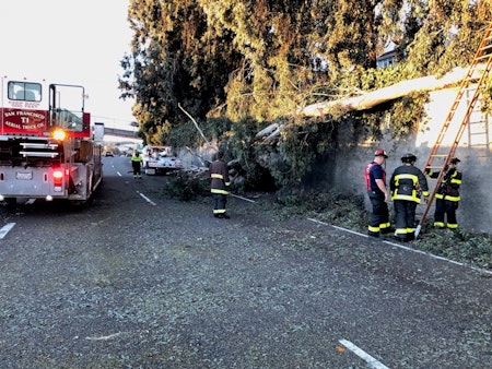 Downed Tree Blocks Lanes, Snarls Traffic On 101 & Cesar Chavez