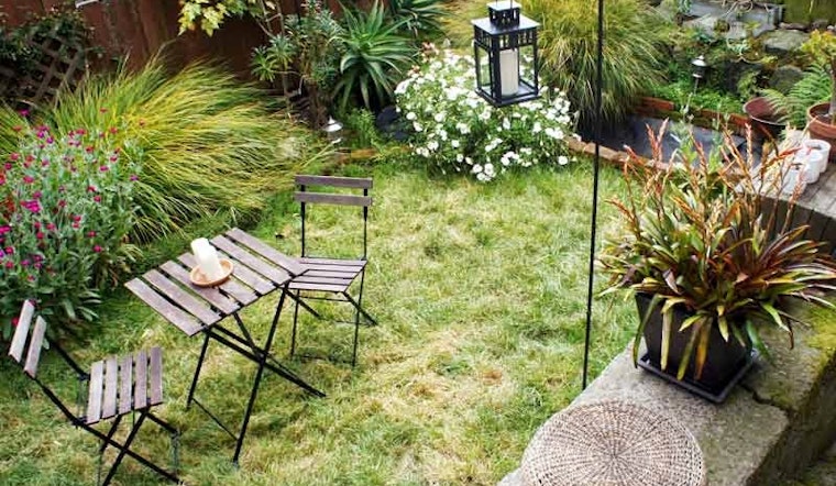 Backyards of the Lower Haight, Part Four