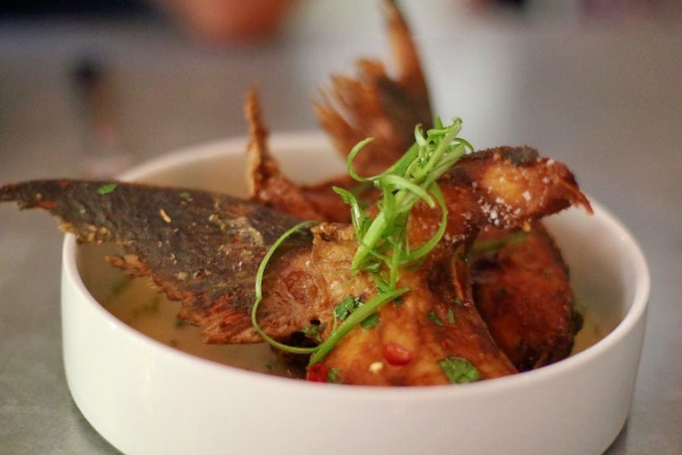 Your guide to the 5 most popular spots in Tampa's Seminole Heights neighborhood