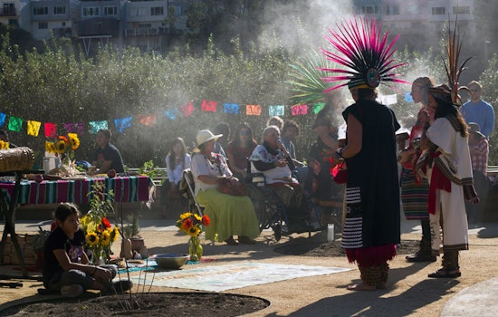 New Excelsior Farm Offers Sanctuary For Culture, Community & Wildlife