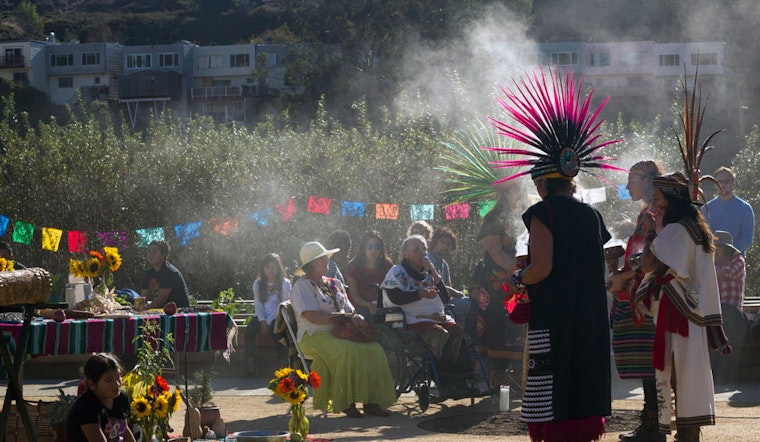 New Excelsior Farm Offers Sanctuary For Culture, Community & Wildlife