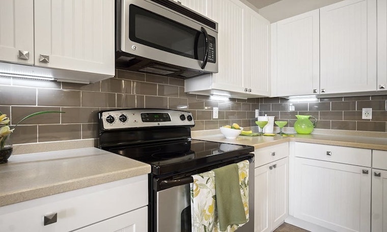 Apartments for rent in Saint Petersburg: What will $1,000 get you?