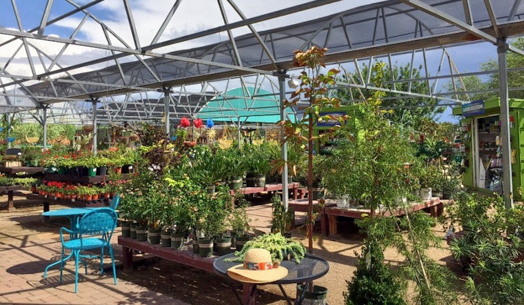 Your guide to the 3 top spots in Tucson's Civano neighborhood