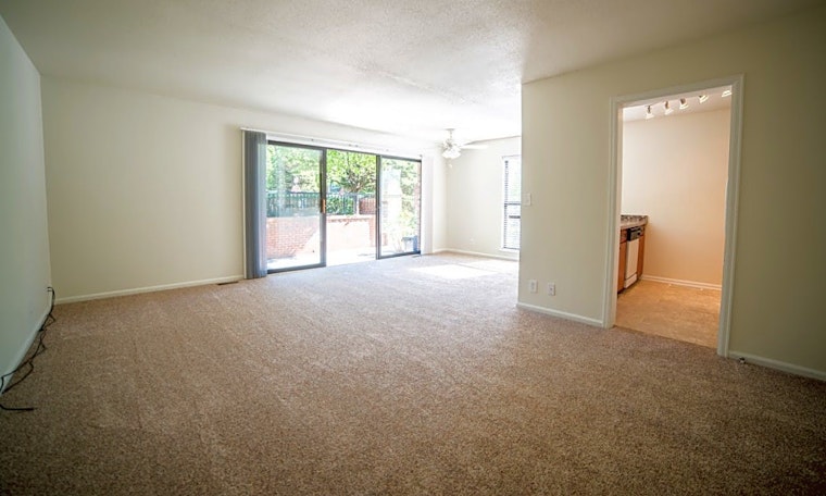 What will $1,000 rent you in Central Hyde Park, this month?