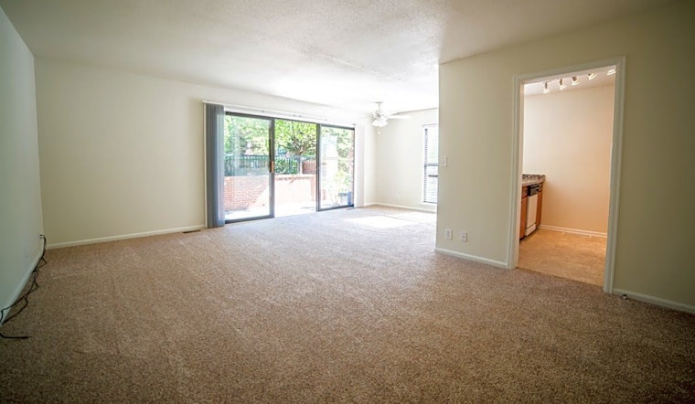 What will $1,000 rent you in Central Hyde Park, this month?
