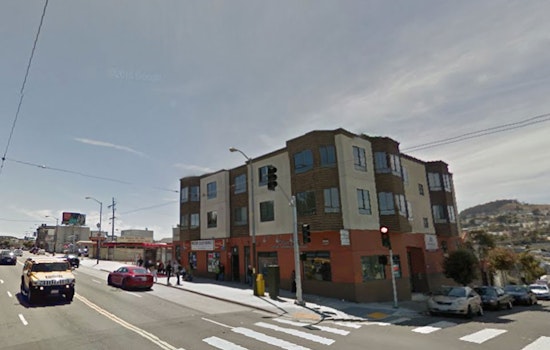 Excelsior-Outer Mission Crime: Soccer Player Assaulted, Pit Bulls Kill Chihuahua, More