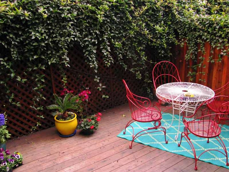 Show Us Your Yards
