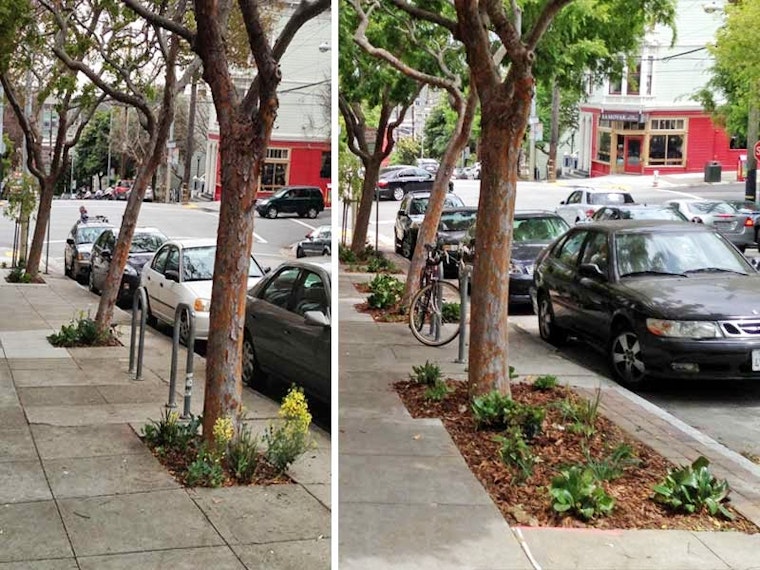 Want a Sidewalk Garden?