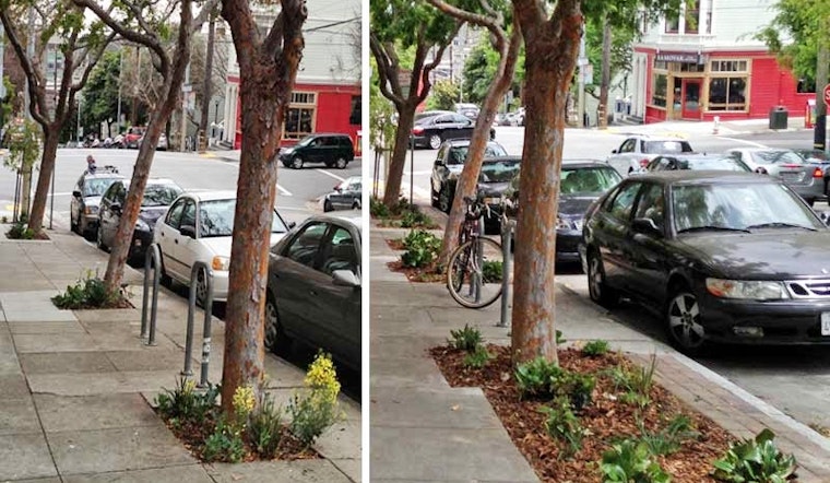 Want a Sidewalk Garden?