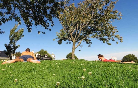 Free Wifi Planned For Duboce Park, Alamo Square