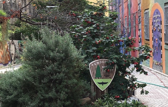 Hidden Gem: Inside The Tenderloin National Forest