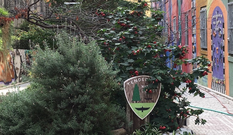 Hidden Gem: Inside The Tenderloin National Forest