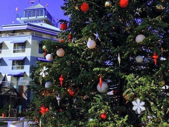 Oakland Weekend: Giggle Bells, OMCA Urban Gardening Exhibition, Live Music, More