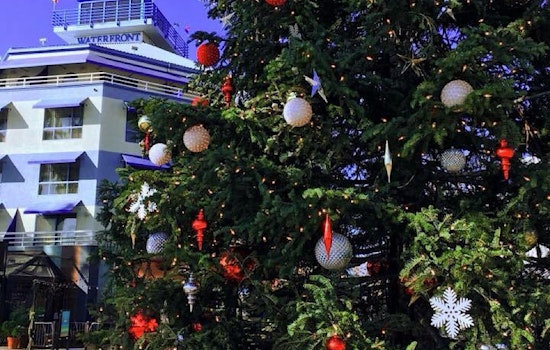 Oakland Weekend: Giggle Bells, OMCA Urban Gardening Exhibition, Live Music, More