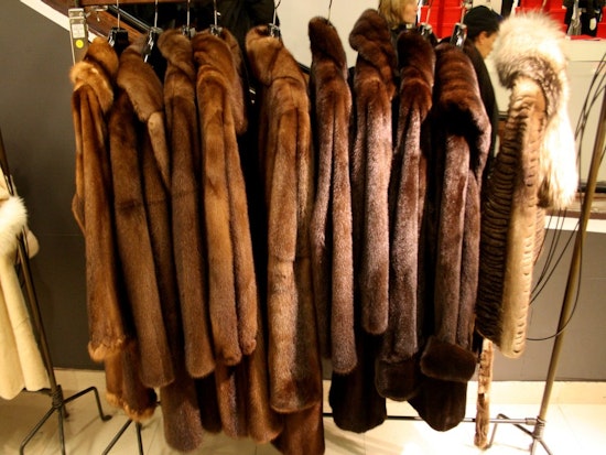 City To Consider Banning Fur Apparel Sales