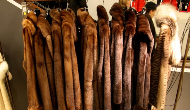 City To Consider Banning Fur Apparel Sales