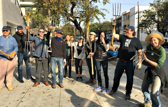 It Takes A Village To Raise An Urban Forest