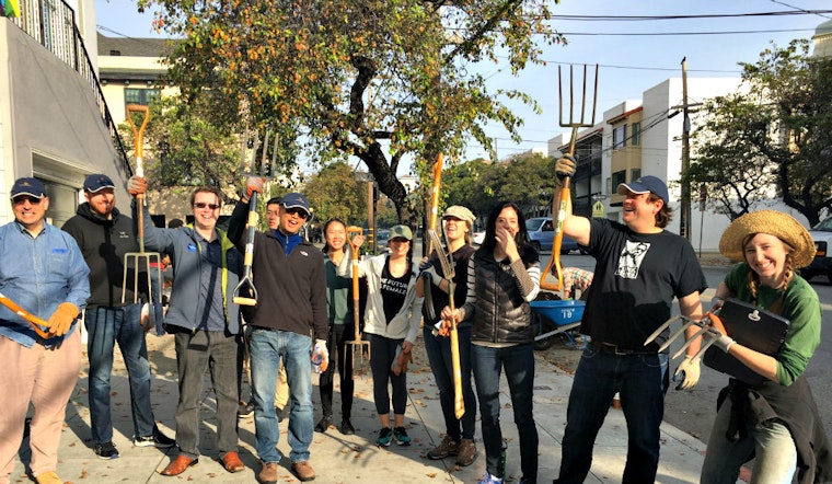 It Takes A Village To Raise An Urban Forest